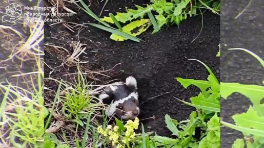 � ������� ������� ������� � 1928 ���� ����� ����������� ����������� ���������