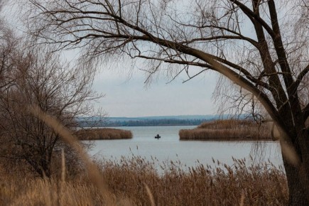 ����� 20 ������������ ��������� ���������� �� ������ � ������������� ������� ����������� ������: � �������� ��������