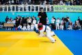 В Курске в спортивном комплексе ЮЗГУ прошли два этапа Кубка Курской области по рукопашному бою, а также соревнование «Юный чемпион» среди юношей и девушек 12 – 13 и 16 - 17 лет, посвященное Дню рукопашного боя