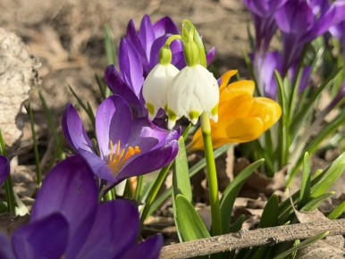 Курск продолжает расцветать