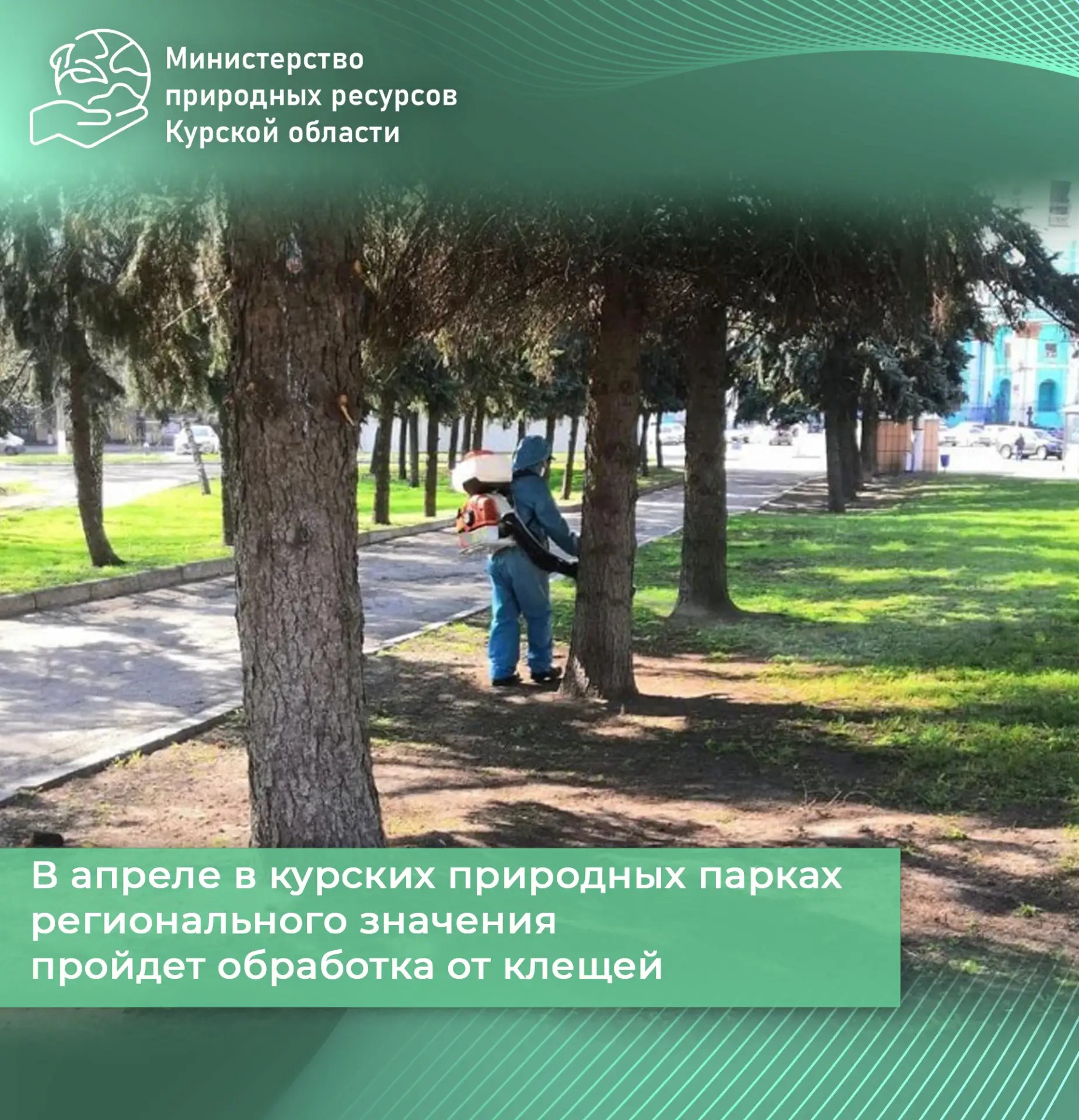 В апреле в курских природных парках регионального значения пройдет обработка от клещей