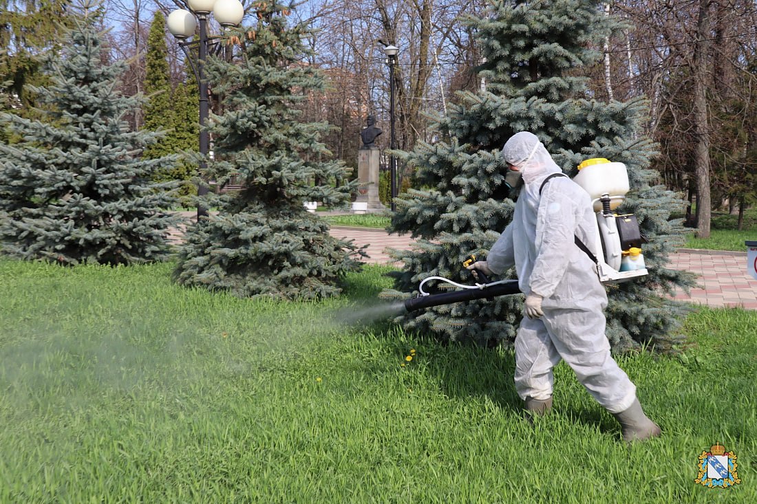 В апреле в парках Курска проведут обработку от клещей