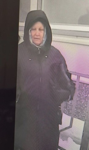 Полиция Курска ищет женщину по делу о краже