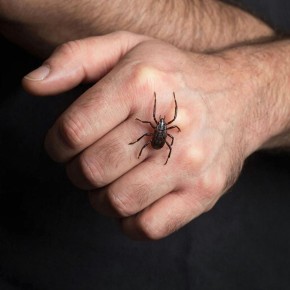 ������ 2026 ���� � ������ ��������� ��������� ���������� ������