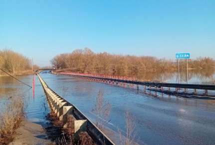 ����� ������������� ������ ����������� ���� ������������� �����