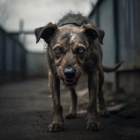 � ������ ����������� �������� ���������� � ��������� ��������� ������ �� �������. �������� ��������� 26 ����� �� ����� ��������� ����� �� ������ �37