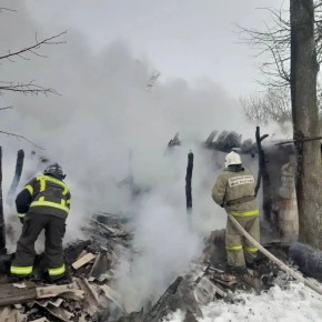 Три козленка погибли в пожаре в Щигровском районе