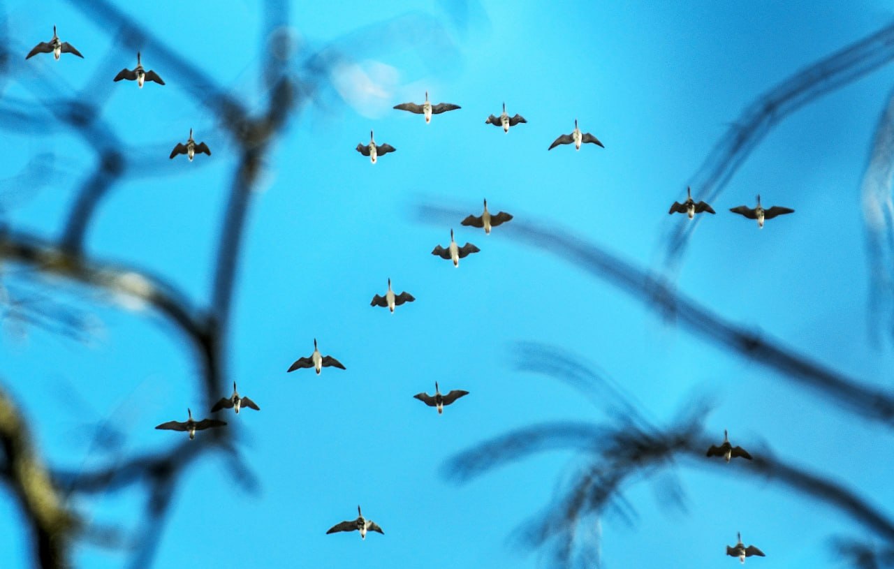 Доброе утро! Желаем всем отличных выходных Доброе утро! Желаем всем отличных выходных