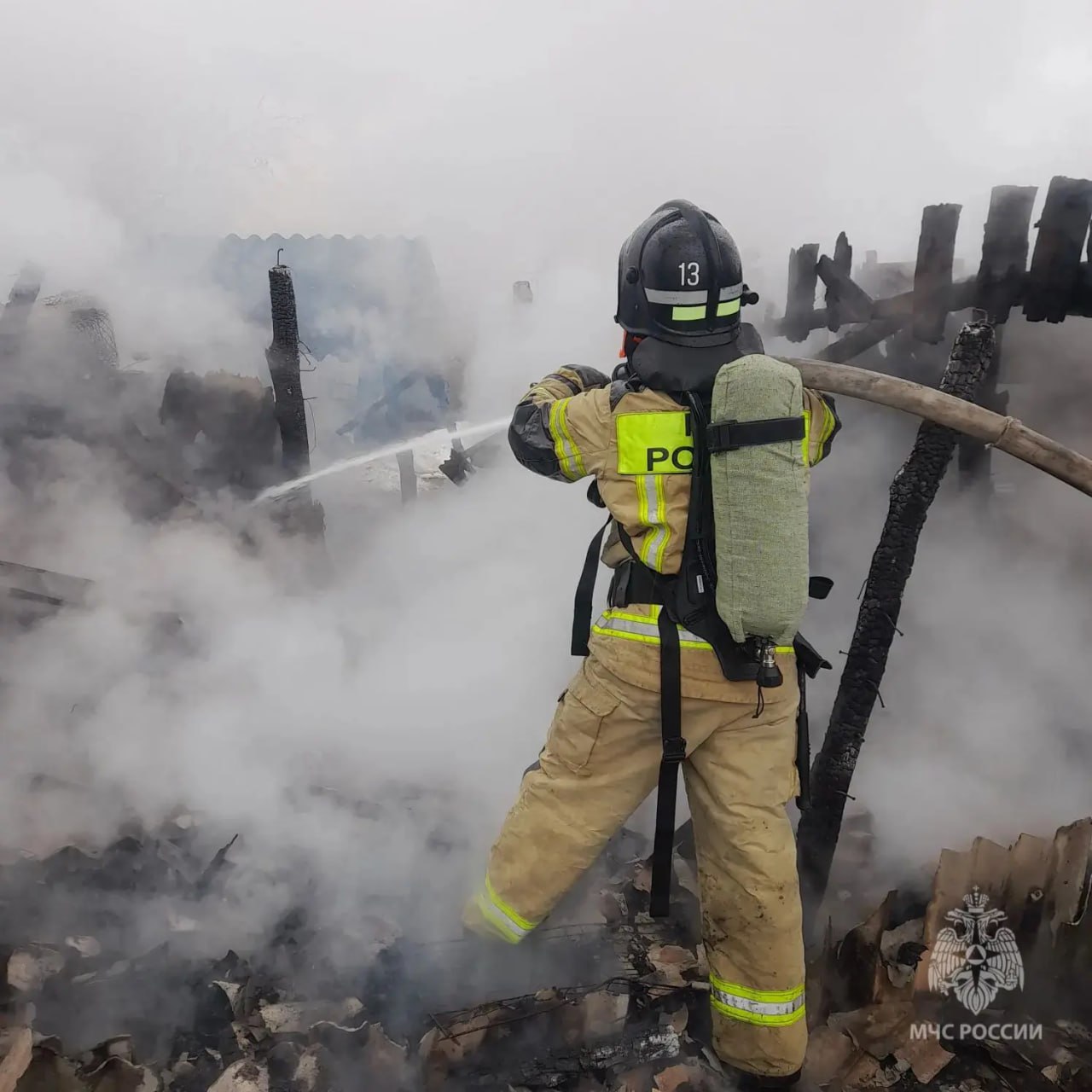 В Щигровском районе при пожаре погибли 3 козленка В Щигровском районе при пожаре погибли 3 козленка