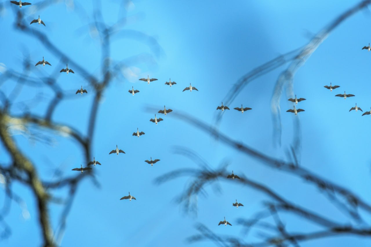 Доброе утро! Желаем всем отличных выходных