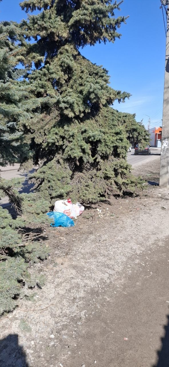 Нам пишут:. — Порядок в первую очередь принято наводить у социально значимых объектов, но, судя по всему, не в нашем городе Нам пишут:. — Порядок в первую очередь принято наводить у социально значимых объектов, но, судя по всему, не в нашем городе