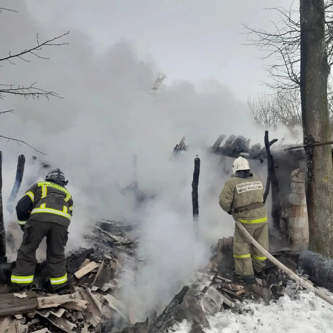 В Щигровском районе при пожаре погибли 3 козленка