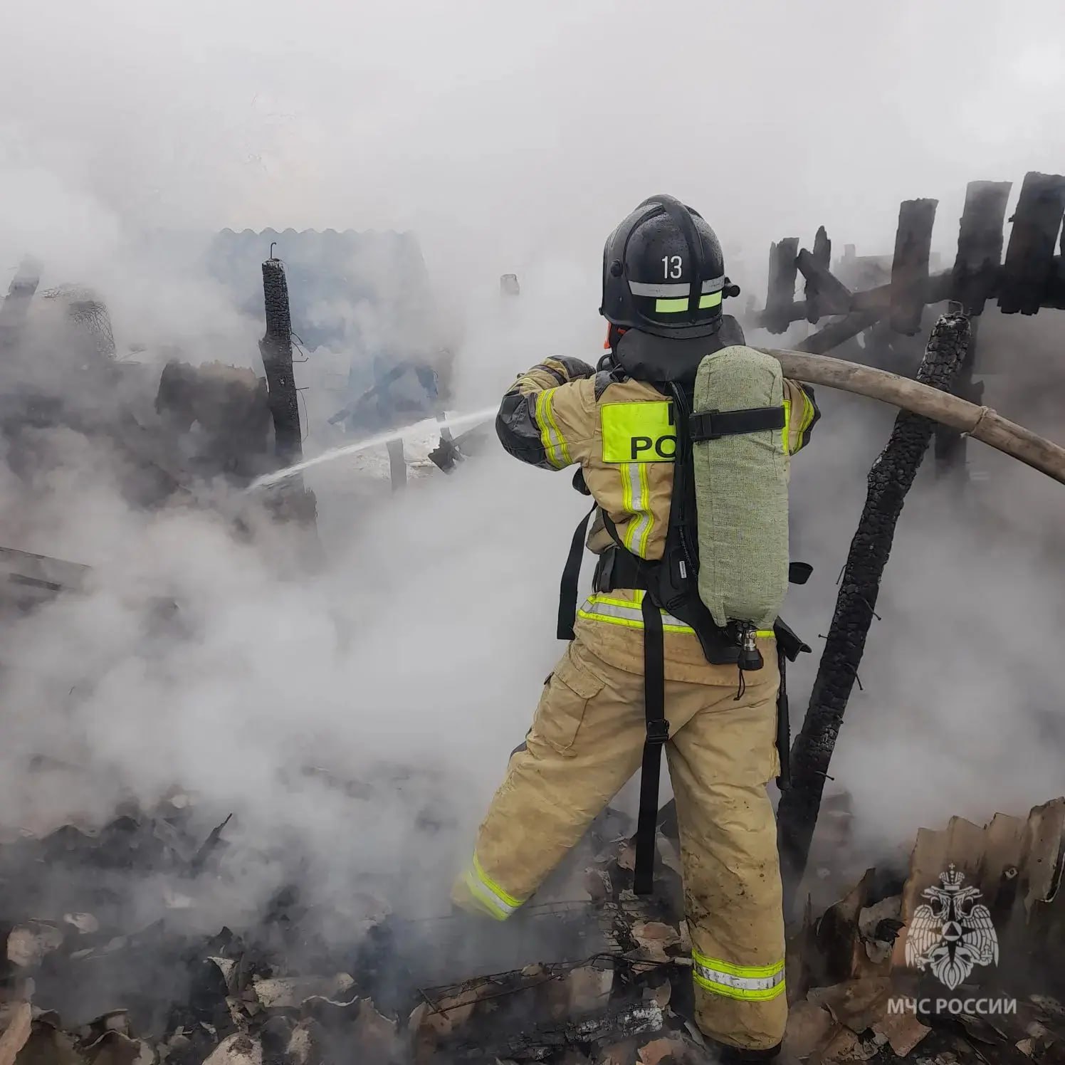 В результате пожара в Курской области погибли трое козлят