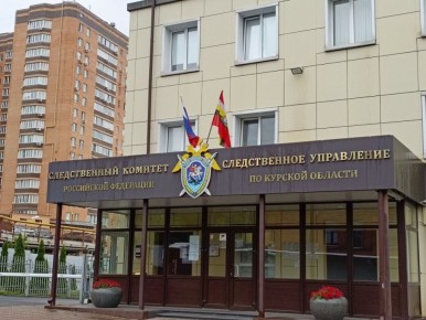 СК проверяет информацию о нападении собаки на ребёнка в Курске