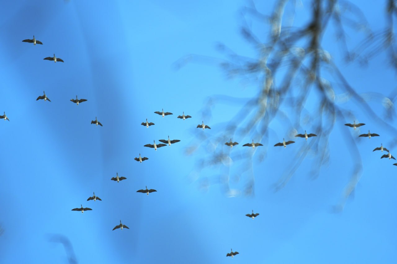 Доброе утро! Желаем всем отличных выходных Доброе утро! Желаем всем отличных выходных