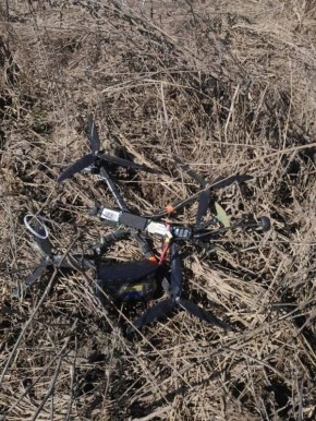 ����� ������ �����-����� ���������� ��������� ������������� � ����������� ������