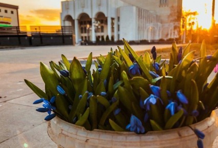 В ближайшие сутки в Курской области установится сухая и теплая погода