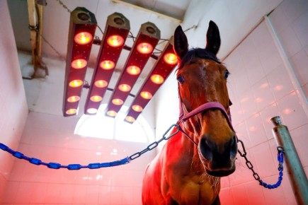 ������ ����! ���� �����!. �� ����: � ������� ����� ����������� �������� ����