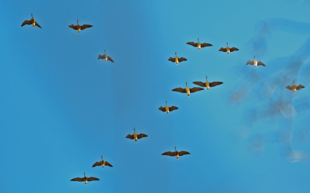 Доброе утро! Желаем всем отличных выходных Доброе утро! Желаем всем отличных выходных