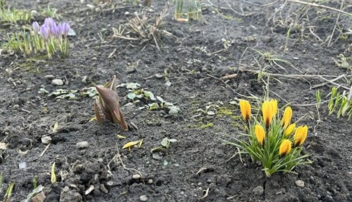 �� 16 �������� ����� ��������� � ������� ������� � ������������� ���� �����