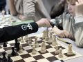 В Курской области стартовал региональный этап Всероссийского детского шахматного турнира «Шахматная смена – 2026»
