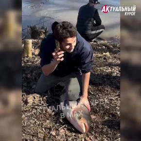 � ������ �� ������ ����� ������� �� ������� ����������� ������������