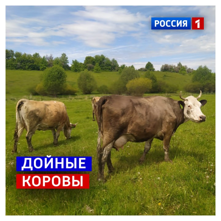 29 марта, воскресенье. Законотворцы продолжают «играть в пятнашки»