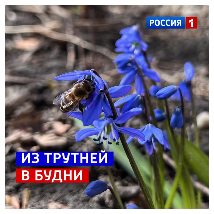 30 марта, понедельник. Сегодня День рождения психоанализа