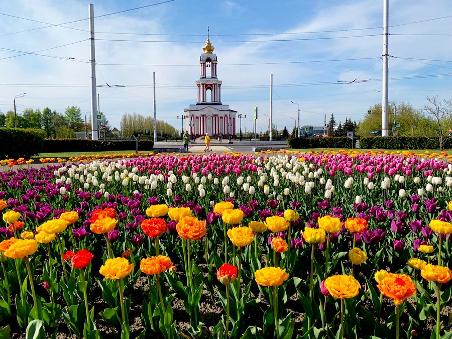 В парке «Патриот» весной не смогут высадить тюльпаны