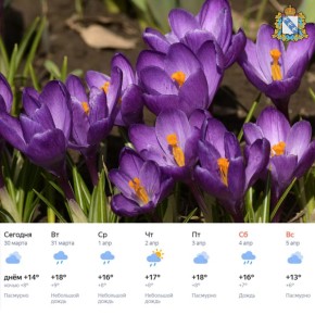 ������ ����! ������ ����� ���������, �� �����