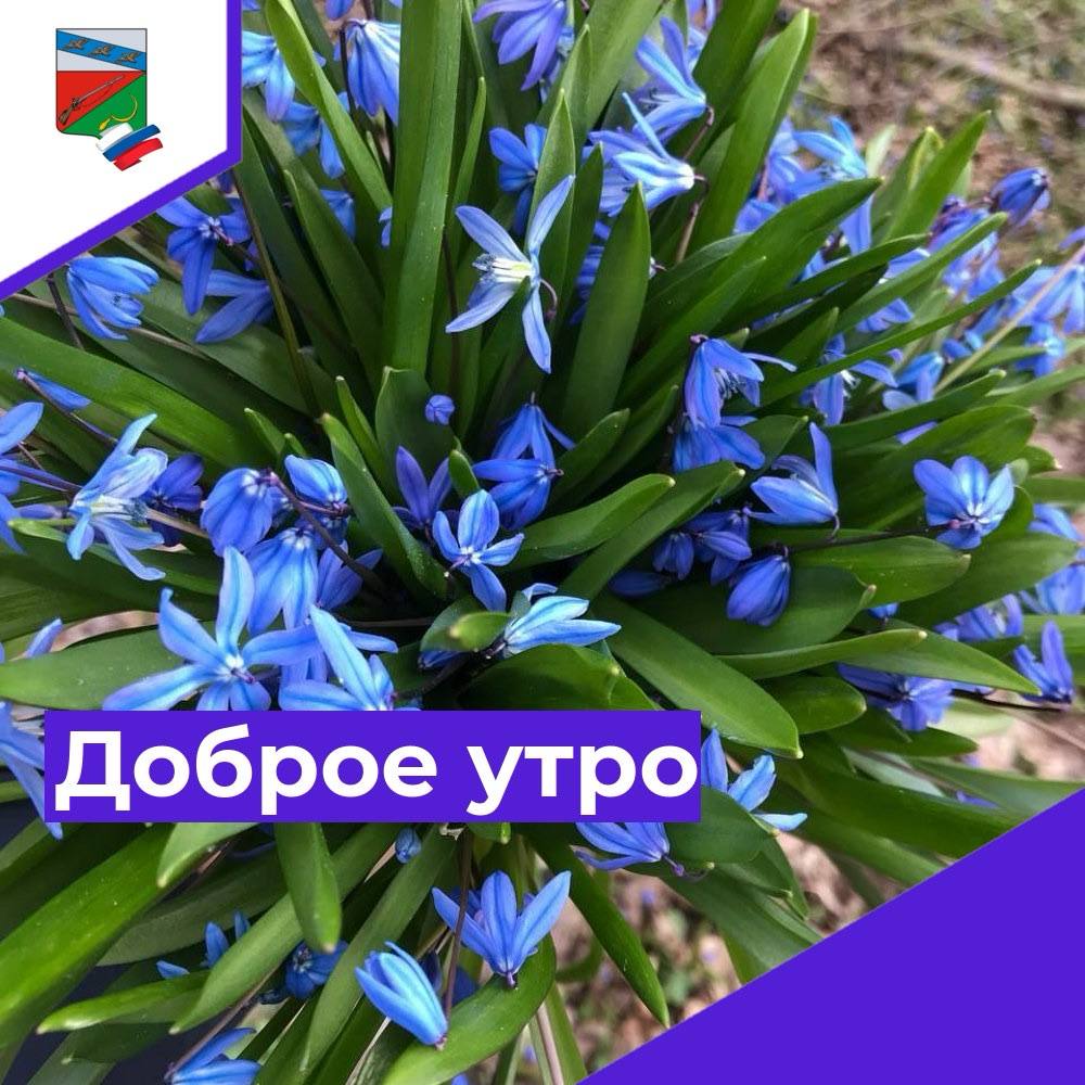 Доброе утро!. Сегодня, в понедельник, 30 марта, по прогнозу регионального отделения МЧС, в Курской области облачно с прояснениями