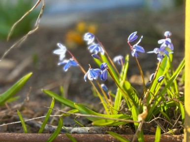 � ������� ������� 31 ����� ��������� ����� � �� +16 ��������