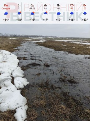 ����������� ������ �� ���� ������ ����� ���������� �� ������� ��������� ������� - � ��������� ��� ��������� ��������� �����