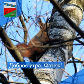 ������ ����. ������ �������� ������ ������� ������!