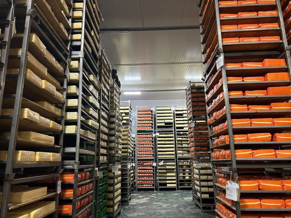 ��� ������������ ������ ������� ������� ������� �� ����������� � ���������