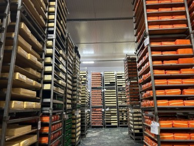 ��� ������������ ������ ������� ������� ������� �� ����������� � ���������