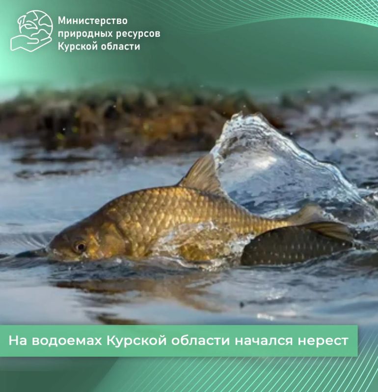 �� �������� ������� ������� ������� ������