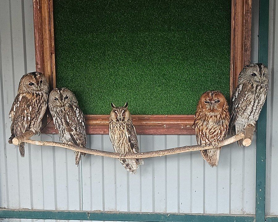 ���� ���� �������� � ���������