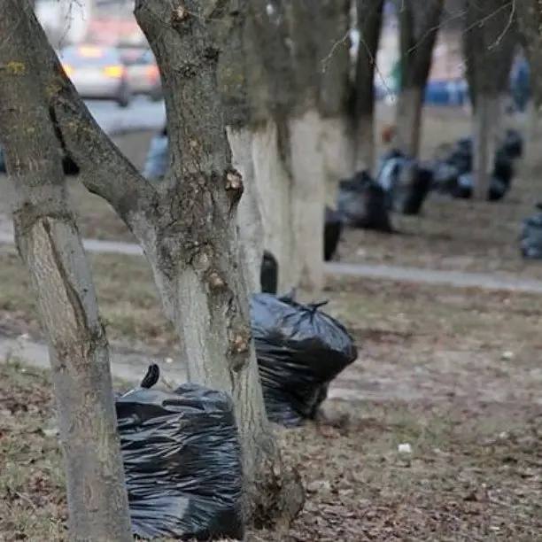 С 4 по 30 апреля курян приглашают поучаствовать в месячнике благоустройства