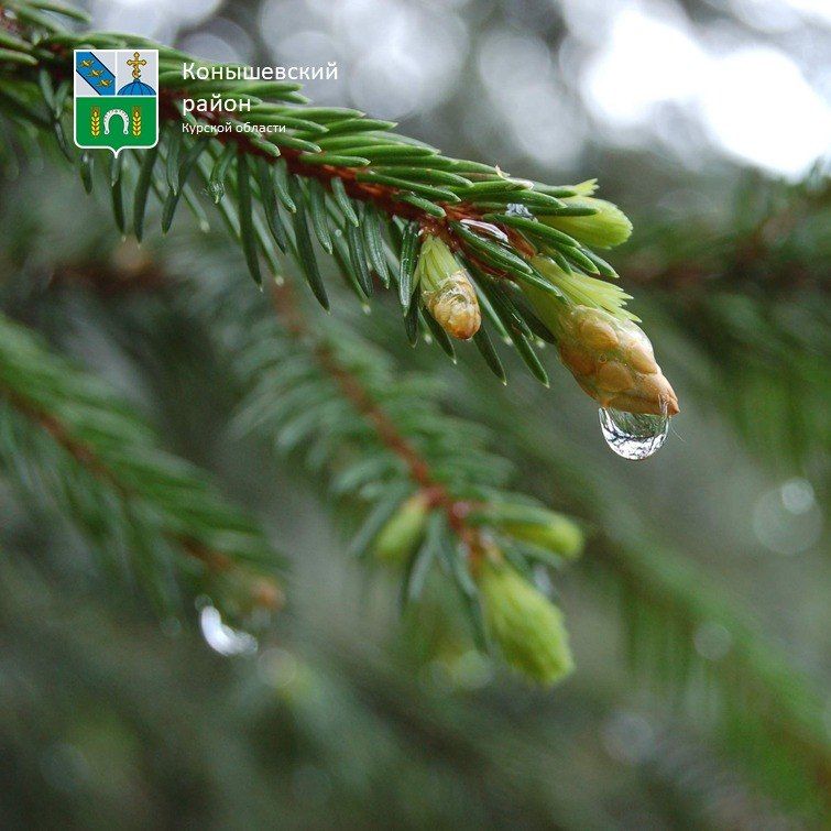 ������ ����!. ������� ��� ��� ��������� ������, +14�C � ������� ����� �����, �����, ����� +7�C