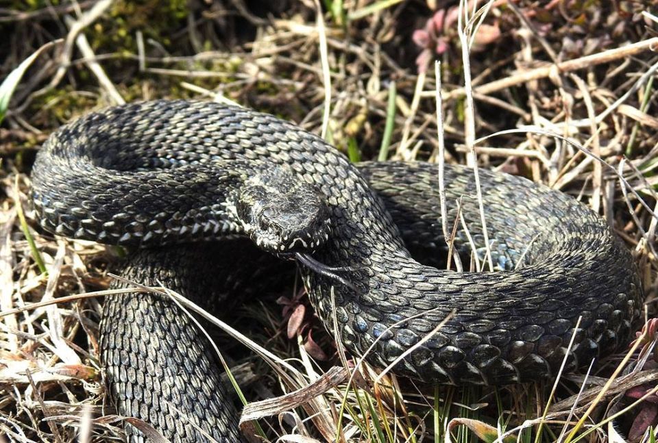 ������� ������ ���������� � ���������� �����