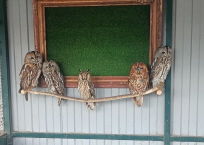 ��������� ���� �� �������� ����������� ������ ����� ��� � ���� ���� ���������