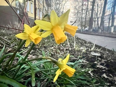 � ������� ������� 3 ������ ��������� �����, ����� � �� +17 ��������