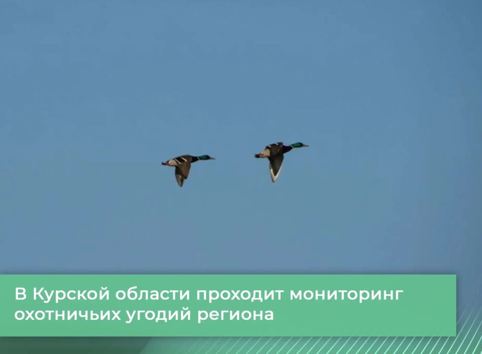 � ������� ������� ������� ������������ ���������� ����� ���� � ������ ��������