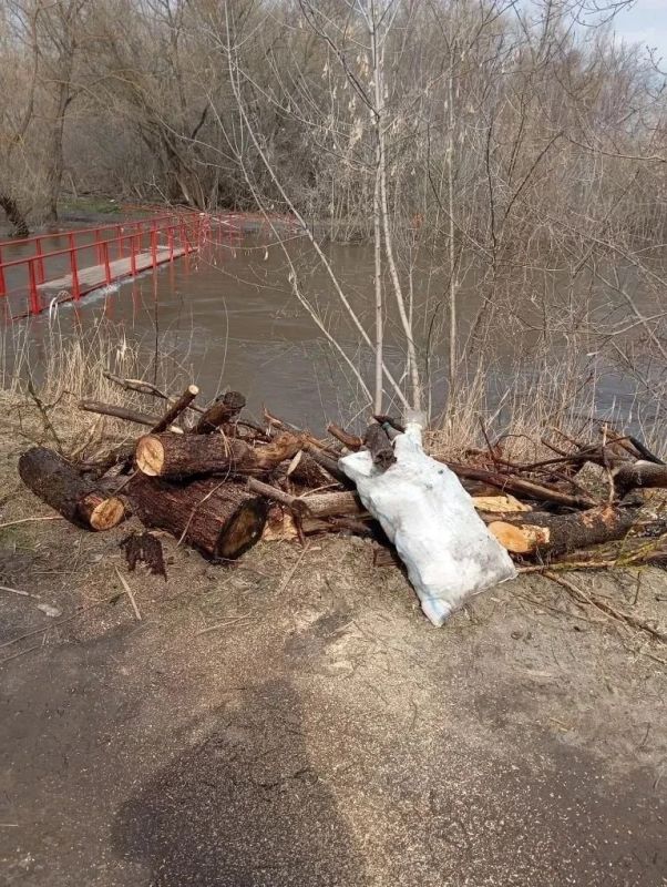 � ������ �������� �������� ���������� ���� �� ����������� 1-� ���������� � �����������