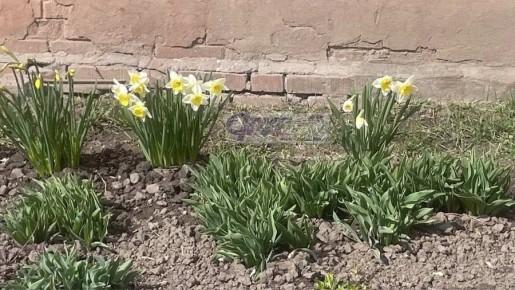 ����� ������ �� �������� 4-5 ������ ��������� � ������� �������