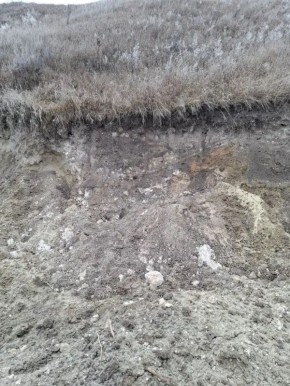 � �������� �� ���������� ������������ �������� �������� ������