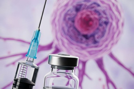 ������ �������, ���������� ������� �� ��������, ��������� ���� ������