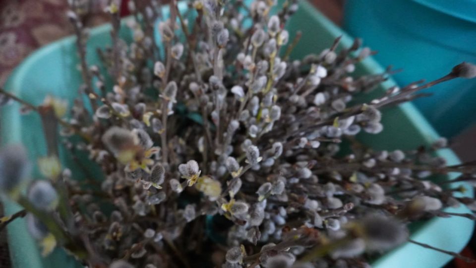 �������� ���������: ������� ������!. � ����������! � ������� ������������!