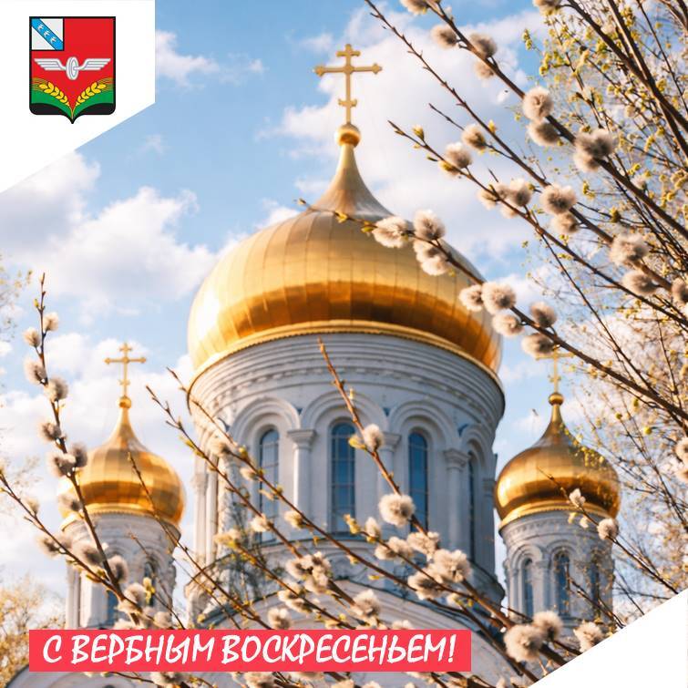 Пришла весна, и верба расцвела